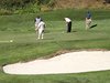 Aloha_Golf11_5_2012_147