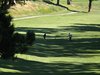 Aloha_Golf11_5_2012_142