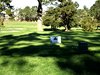 Aloha_Golf11_5_2012_172