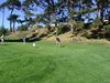 Aloha_Golf11_5_2012_098