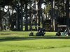 Aloha_Golf11_5_2012_185