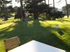 Aloha_Golf11_5_2012_203
