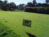 Aloha_Golf11_5_2012_111