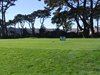 Aloha_Golf11_5_2012_121