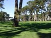 Aloha_Golf11_5_2012_076