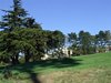 Aloha_Golf11_5_2012_094
