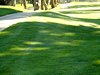 Aloha_Golf11_5_2012_163