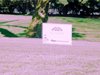 Aloha_Golf11_5_2012_087