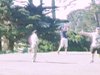Aloha_Golf11_5_2012_072