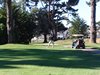 Aloha_Golf11_5_2012_077