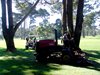 Aloha_Golf11_5_2012_112