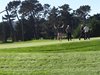 Aloha_Golf11_5_2012_128