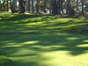Aloha_Golf11_5_2012_161