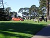 Aloha_Golf11_5_2012_069