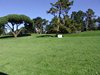 Aloha_Golf11_5_2012_086