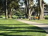 Aloha_Golf11_5_2012_199