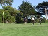 Aloha_Golf11_5_2012_091