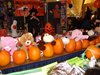 DSC04557