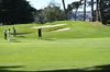 Aloha Golf_102714web_20