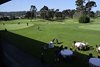 14_AlohaGolf_10172016_010