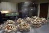 Crab_03162017_16
