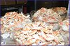 JAB_6629